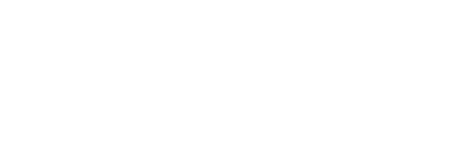 The Lineup